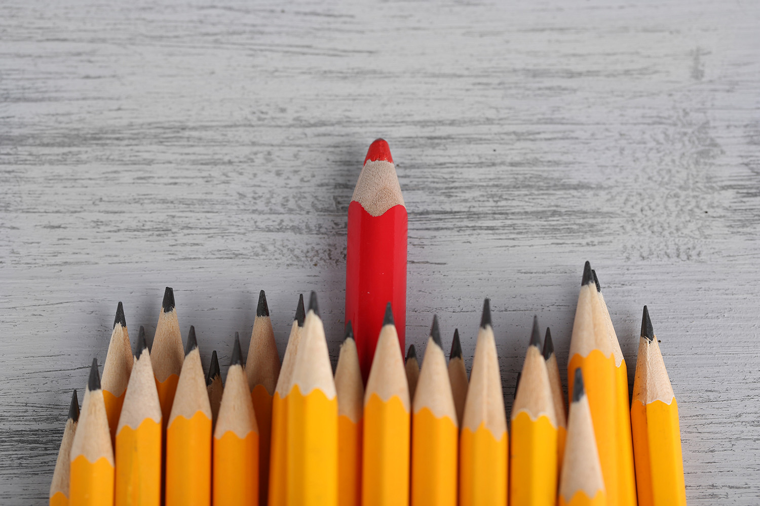 Celebratory pencil among usual pencils, on color background